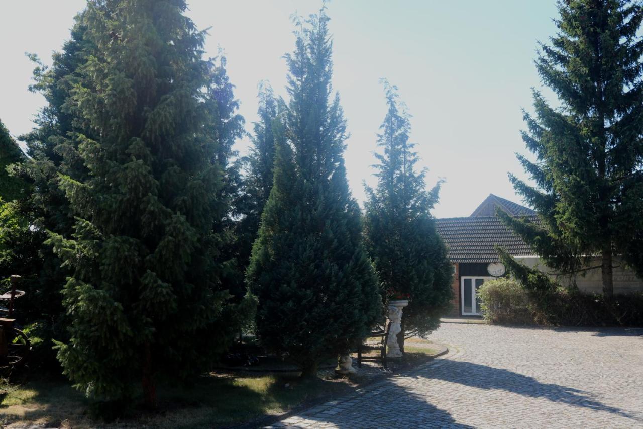 Spreewaldhotel Garni Raddusch Vetschau Exteriör bild